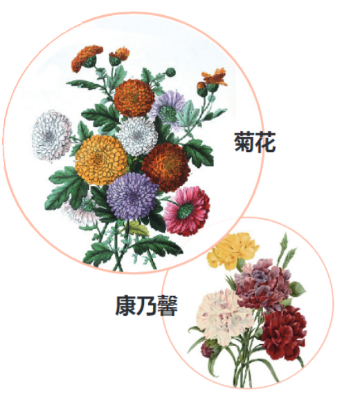 5. 供奉菩薩须知 | 供花(图3) 5. 供奉菩薩须知 | 供花(图3)